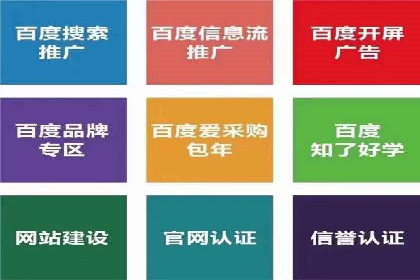 某某SEM服务公司如何帮助企业实现ROI最大化